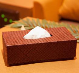 ティッシュケース(パンダン)